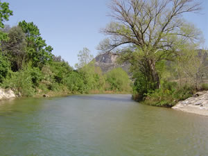 La rivière traversant le village de Tautavel, le Verdouble
